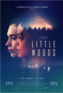 دانلود فیلم Little Woods 201822292-1079987352