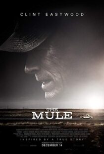 دانلود فیلم The Mule 201819828-1895319025