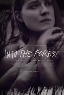 دانلود فیلم Into the Forest 20159776-576276913