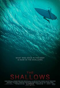 دانلود فیلم The Shallows 20166608-356828083