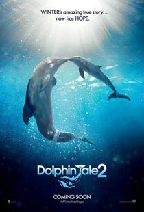 دانلود فیلم Dolphin Tale 2 201421312-1050587619