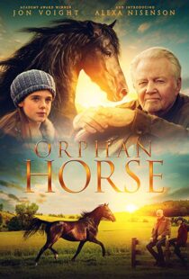 دانلود فیلم Orphan Horse 20188125-513009087