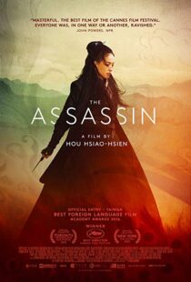 دانلود فیلم The Assassin 201513760-2008074471