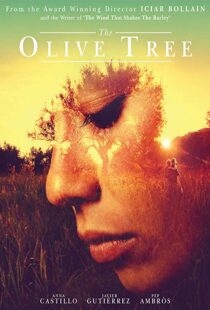 دانلود فیلم The Olive Tree 201615934-154351069