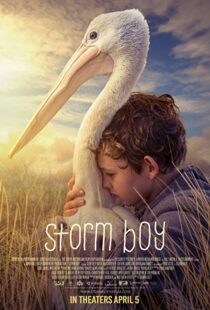دانلود فیلم Storm Boy 20199003-459640882