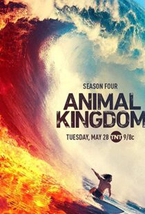 دانلود سریال Animal Kingdom18326-1945935677