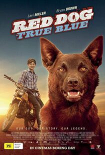 دانلود فیلم Red Dog: True Blue 20168899-524402107
