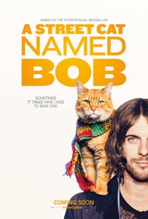 دانلود فیلم A Street Cat Named Bob 201641621-1527460797