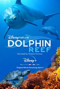 دانلود مستند Dolphin Reef 201838724-211512716