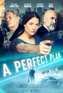 دانلود فیلم A Perfect Plan 202043957-1341528381