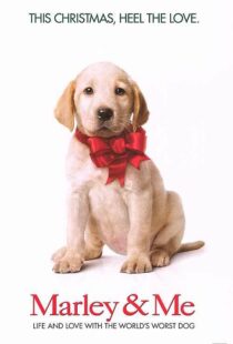 دانلود فیلم Marley & Me 200849029-331008675