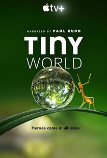 دانلود مستند Tiny World52124-1937432258