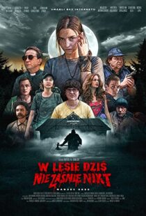 دانلود فیلم Nobody Sleeps in the Woods Tonight 202053095-515984506