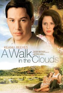 دانلود فیلم A Walk in the Clouds 199553815-2034110612