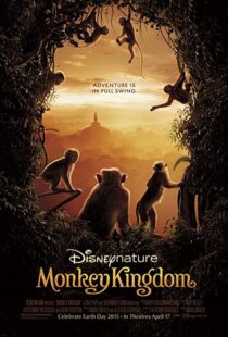 دانلود مستند Monkey Kingdom 201554583-1507072978