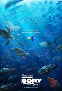 دانلود انیمیشن Finding Dory 201658678-81866543
