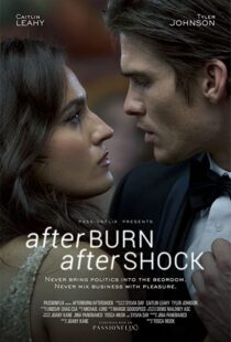 دانلود فیلم Afterburn/Aftershock 201777302-2042302124