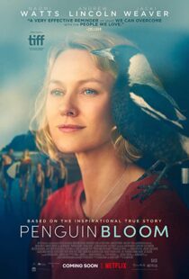 دانلود فیلم Penguin Bloom 202073302-286293483