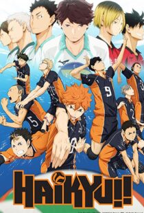 دانلود انیمه Haikyu!!80601-1884600796