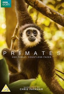 دانلود مستند Primates77865-1295466647