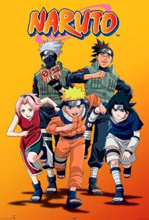 دانلود انیمه Naruto80387-435493035