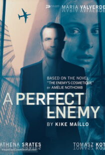 دانلود فیلم A Perfect Enemy 202082295-1103595283