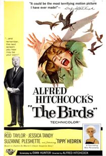 دانلود فیلم The Birds 196382372-963528446