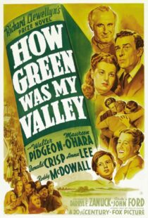 دانلود فیلم How Green Was My Valley 194181855-1497217921