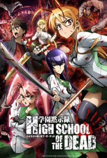 دانلود انیمه Highschool of the Dead95235-1367352336