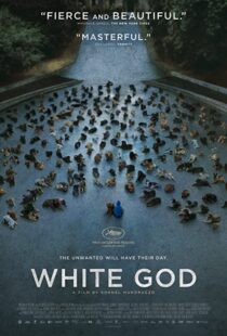 دانلود فیلم White God 201482109-447359301
