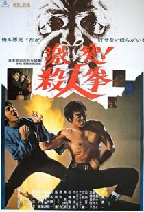 دانلود فیلم The Street Fighter 197483791-215693226