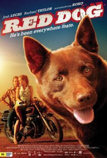 دانلود فیلم Red Dog 201187414-1187059536