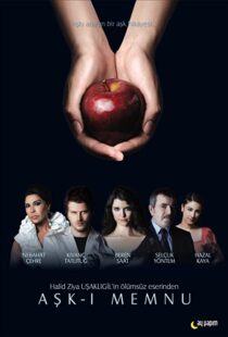 دانلود سریال Forbidden Love94309-1408452455