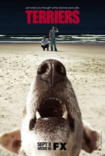 دانلود سریال Terriers100032-1275145548