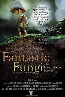 دانلود مستند Fantastic Fungi 2019100518-1851663192