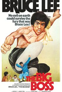 دانلود فیلم The Big Boss 197197560-1499983806