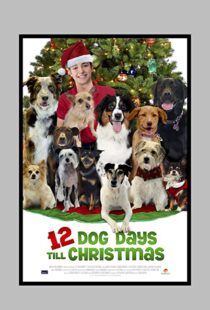 دانلود فیلم 12 Dog Days Till Christmas 2014100712-1281912745