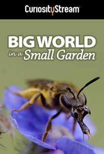 دانلود مستند Big World in a Small Garden 2016102965-2108880752