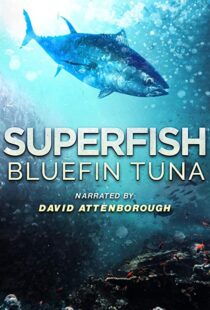 دانلود مستند Superfish Bluefin Tuna 2012101607-517801228