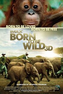 دانلود مستند Born to Be Wild 2011110503-1525322434