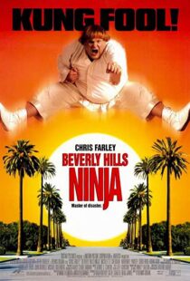 دانلود فیلم Beverly Hills Ninja 1997111541-960899088