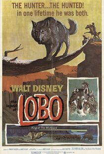 دانلود فیلم The Legend of Lobo 1962111441-1705749372