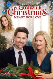 دانلود فیلم A Godwink Christmas: Meant for Love 201931842-887833056