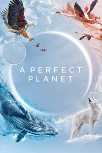 دانلود مستند A Perfect Planet231098-547910810