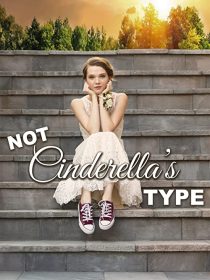 دانلود فیلم Not Cinderella’s Type 2018254350-2063913031