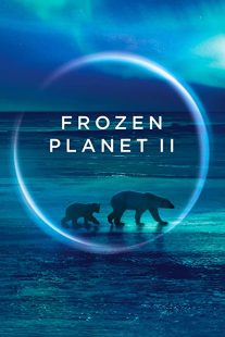 دانلود مستند Frozen Planet II268784-1443563543