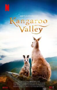 دانلود فیلم Kangaroo Valley 2022322977-495833365