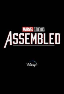 دانلود سریال Marvel Studios: Assembled100150-1981817620