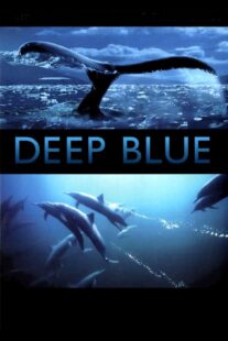 دانلود فیلم Deep Blue 2003333037-2042267861