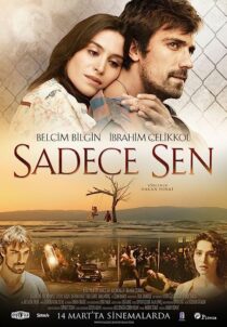 دانلود فیلم Only You 2014369345-983705407